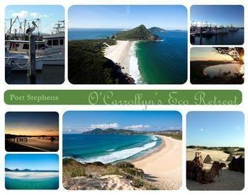 The Oasis At One Mile Beach Apartamento Anna Bay Exterior foto