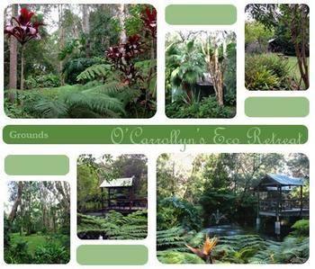 The Oasis At One Mile Beach Apartamento Anna Bay Exterior foto